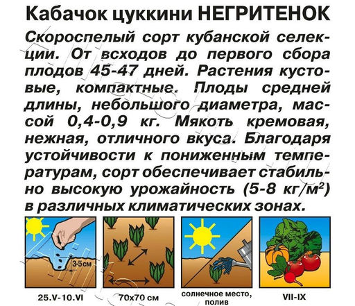 Кабачок Негритенок (цуккини) 2г (Аэлита)