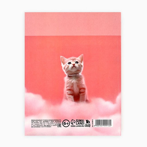 Дневник школьный для 1-11 класса, в интегральной обложке, 40 л. «Котик на облаке»