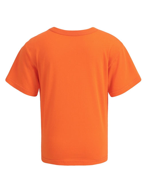 футболка 1ПДФК4331001 - Апрель фото 2