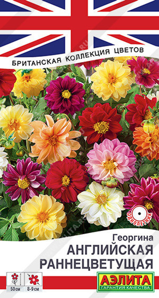 1385A Георгина Английская раннецветущая, смесь сортов 0,3гр