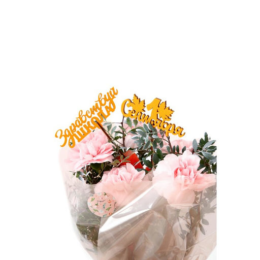 Цена за 5 шт. Топпер для торта «1 сентября», МИКС