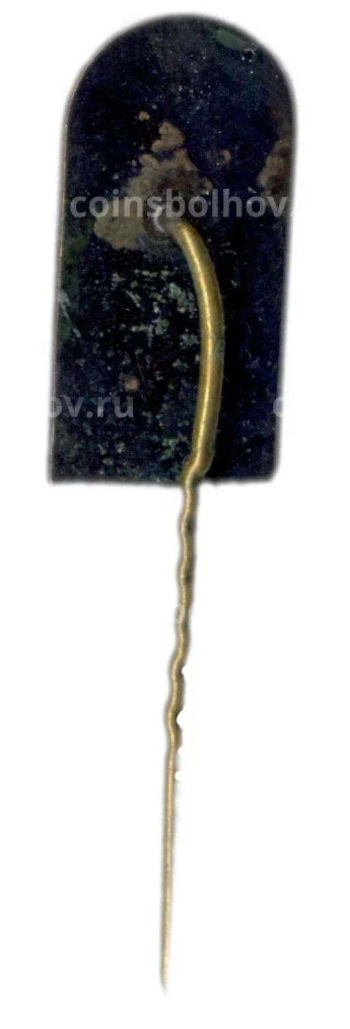 Значок Вильнюс