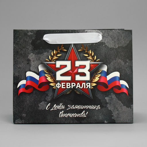 Цена за 2 шт. Пакет подарочный ламинированный, упаковка, «23 февраля», MS 23×18×10 см