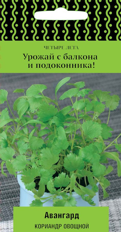 Кориандр овощной Авангард (сер.Четыре лета) (А) (ЦВ) 1 гр.