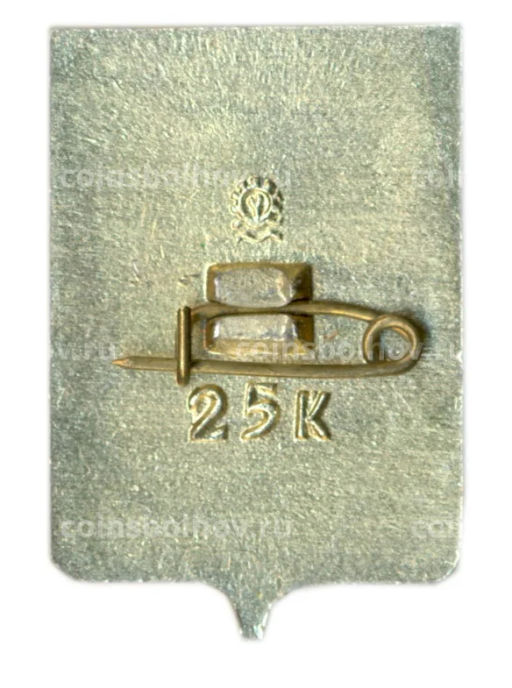 Значок Копейск