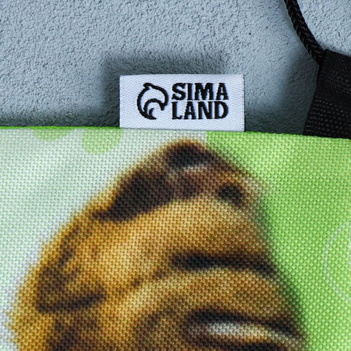 Сумка для обуви со светоотражающим элементом Забавный котёнок, 41х31 см - Artfox study фото 10