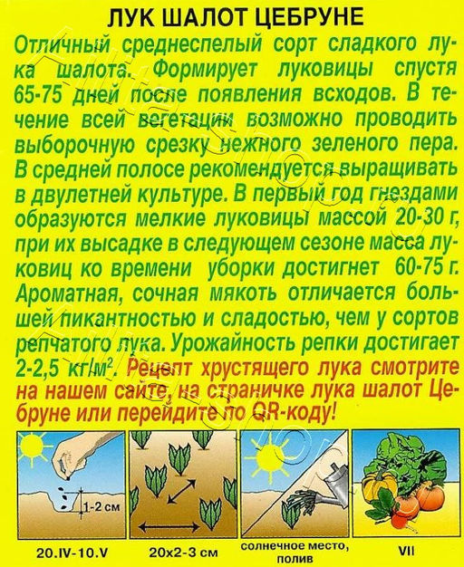 Лук шалот Цебруне 0,3г (Аэлита)