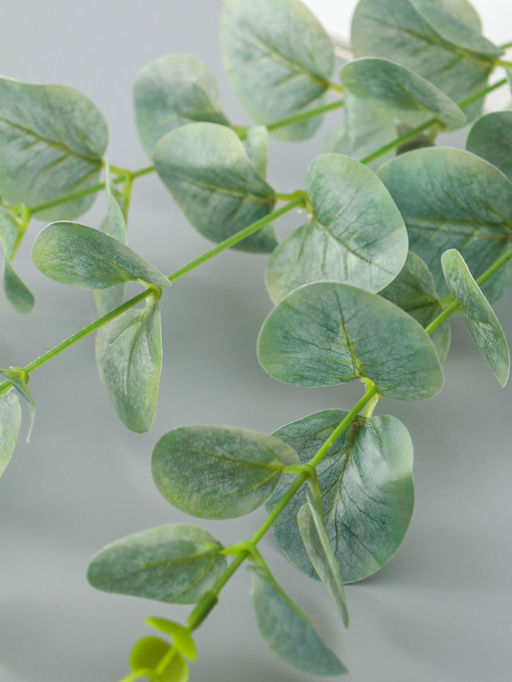 Цветы искусственные «Эвкалипт шёлковый», h=80 см, зелёные