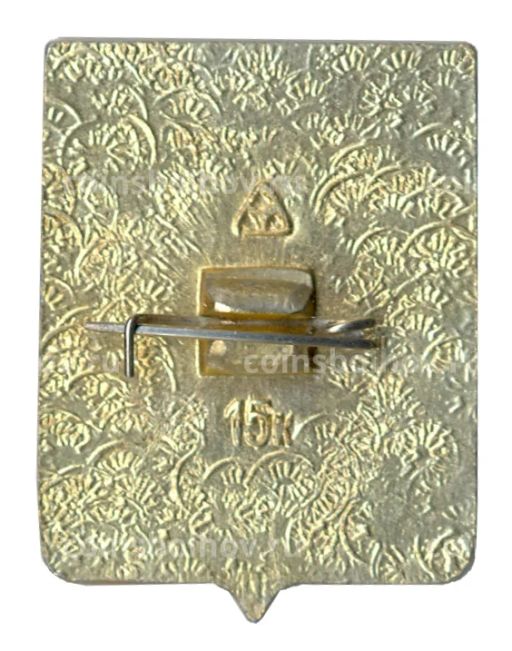 Значок Владимир