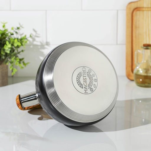 Чайник Magistro Heat, 3 л, ТРС, ручка soft-touch, со свистком, индукция, нержавеющая сталь, чёрный