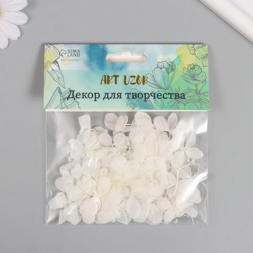 Сухоцвет «Гортензия», белый, h=6-6.5 см