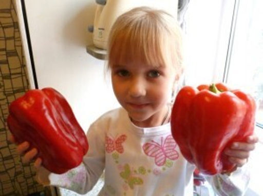 Перец Сладкий Гигантский  Big Bertha - Большая Берта