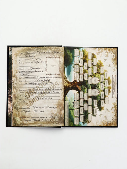 Родословная книга «История нашей семьи», 56 листов, 112 страниц, 16.5×24 см