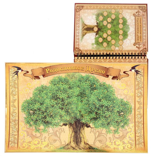 Родословная книга История семьи, 30 листов, 24.5 х 29.2 см - Семейные традиции фото 7