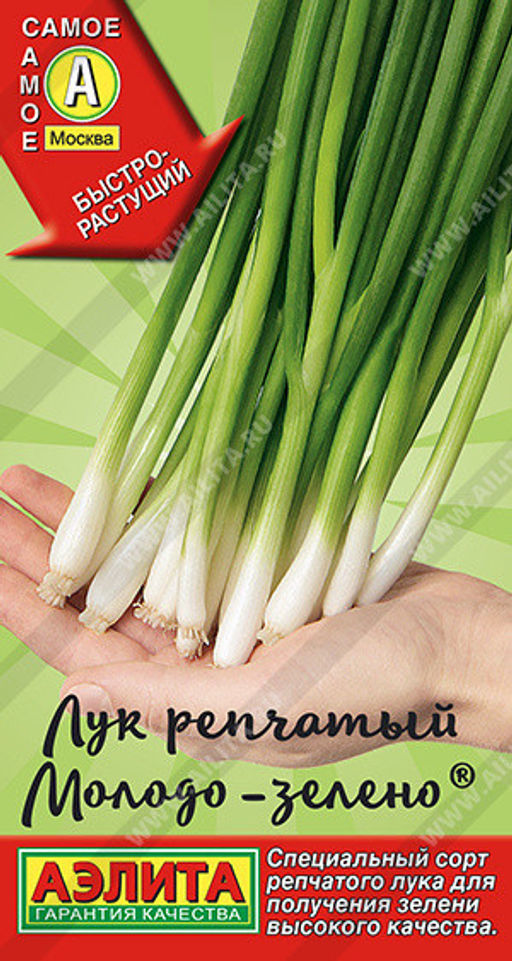 0562A Лук репчатый Молодо-зелено 0,5гр