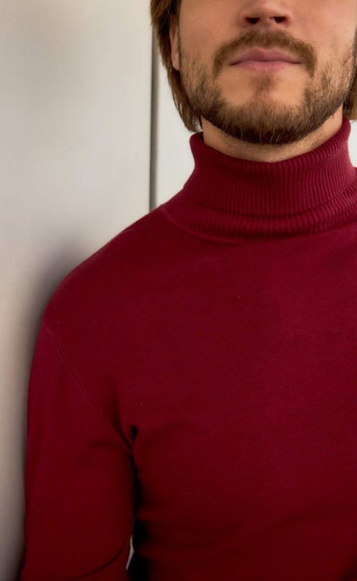 Водолазка мужская F121-01-868 бордовая - Fine joyce фото 7