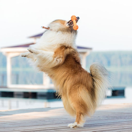 Игрушка пищащая Баскетбольная гантель, 15,5 х 6 см - Пижон фото 4