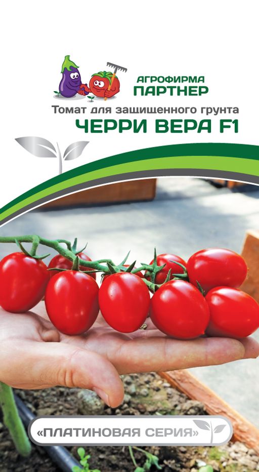 Томат Черри Вера