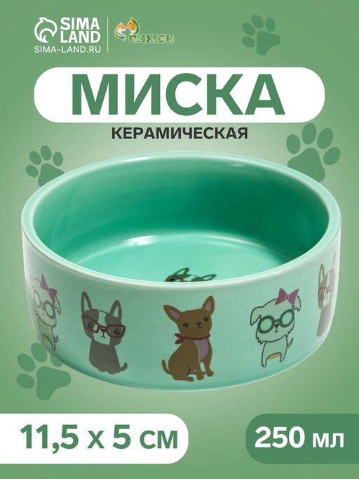 Миска керамическая Важный пес 250 мл - 11.511.55 см, зелёная