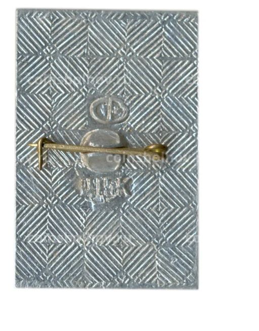 Значок Мамаев Курган  Знаменосец