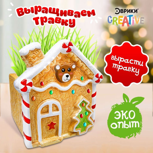 Набор для опытов Выращиваем травку, домик - Эврики фото 10