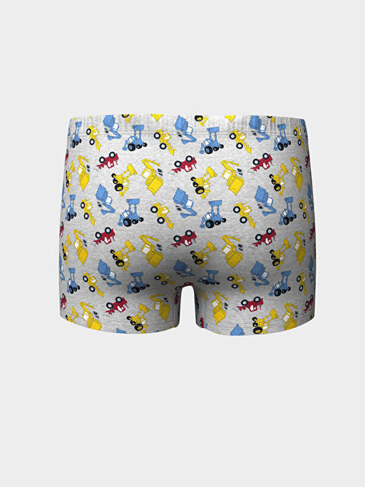 Bask?l? Erkek ?ocuk Boxer - Waikiki фото 2