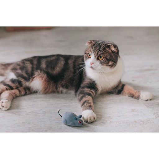 Мышь заводная, 7 см, серая - Пижон фото 3