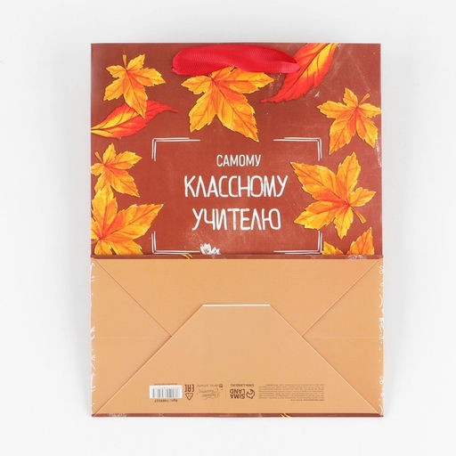 Цена за 2 шт. Пакет подарочный ламинированный, упаковка, «Классному учителю», MS 18 х 23 х 10 см