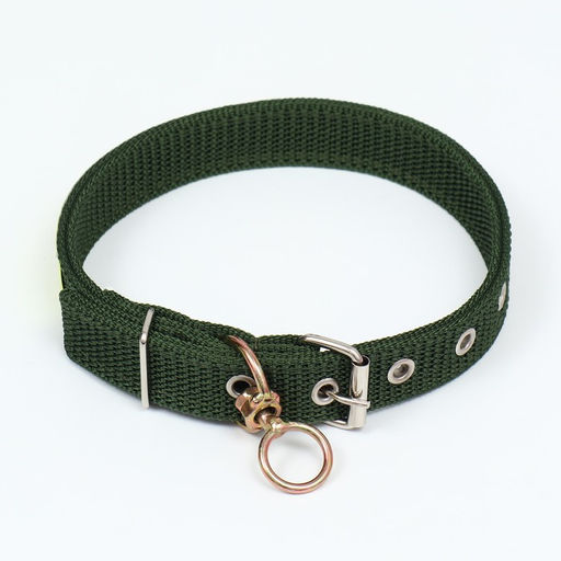 Ошейник двухслойный с вертлюгом, 2,5 см, зелёный, длина 58 см - Пижон фото 2