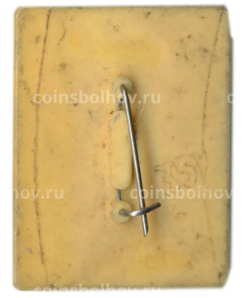 Значок Шауляй