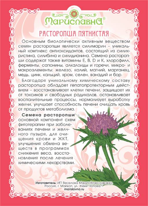 2 шт. Расторопша пятнистая (семена) - Мариславна фото 2