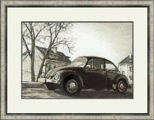 1177 Старая фотография. Жук