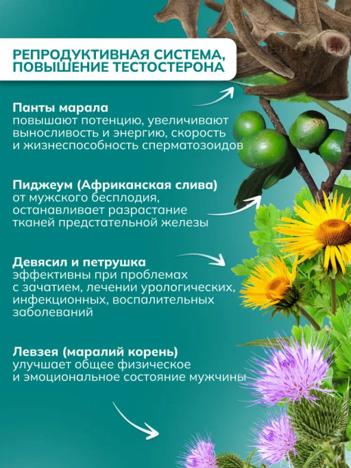 Драже из трав Для женщин с ягодой годжи, прополисом и дигидрокверцетином Алфит 6934  фото 23