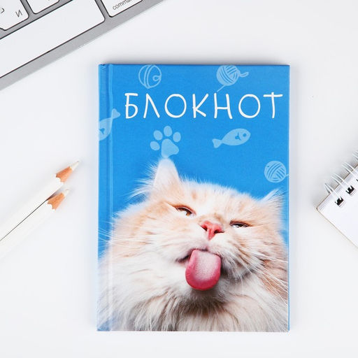 Блокнот А6 в твердой обложке, 40 листов Кот