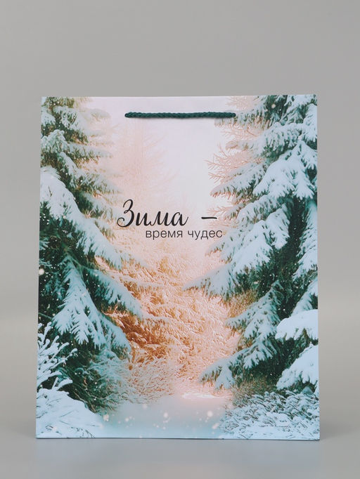 Цена за 2 шт. Пакет подарочный «Зима - время чудес», 26×12×32 см