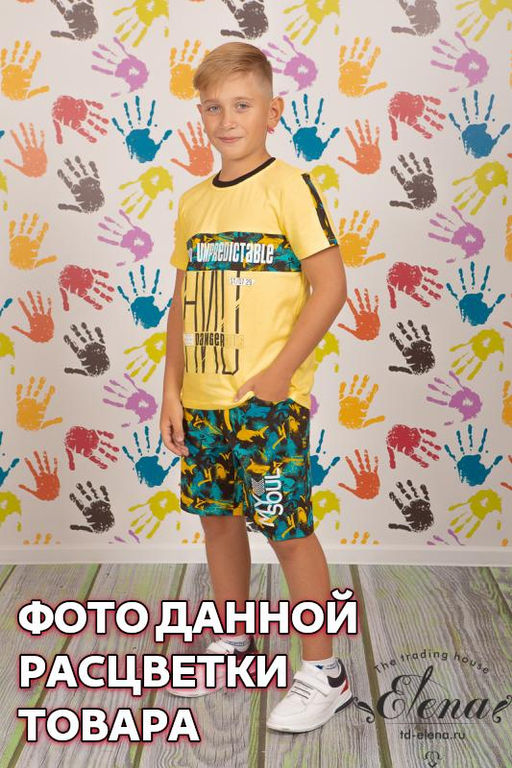 Костюм (футб+шорты) Арт. 21964П Набивка - Елена фото 2