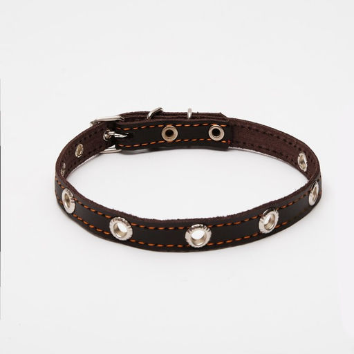 Ошейник кожаный однослойный с рифлеными люверсами, 35х1,2 см, ОШ 10-28 см, безразмерный, микс цветов - Пижон фото 2