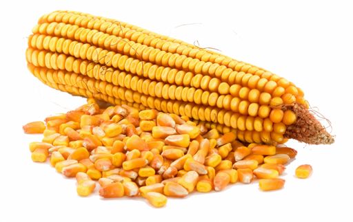 Цена за 0,5 кг Кукуруза для попкорна (кг)