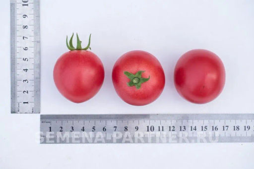 Томат Малиновый Земледелец - Партнер фото 6