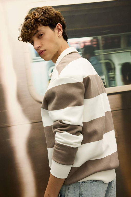 Толстовка в полоску с воротником на молнии свободного кроя - Defacto фото 2