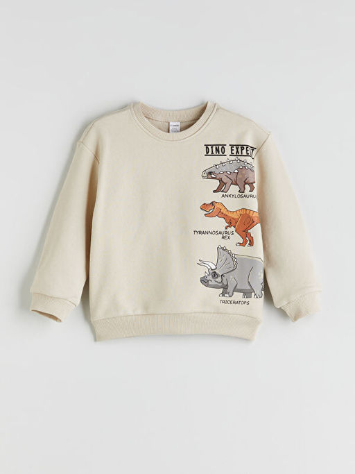 Dinazor Bask?l? Erkek ?ocuk Sweatshirt ve E?ofman Alt 2li