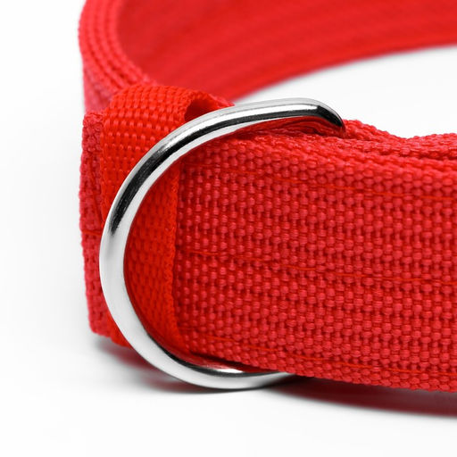 Ошейник четырехслойный, 64 х 4 см, ОШ 50-58 см, полиэстер, красный - Пижон фото 4