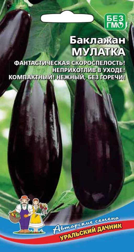 Баклажан МУЛАТКА Фантастическая скороспелость! Неприхотлив в уходе! Компактный! Нежный, без горечи! - Уральский дачник фото 2
