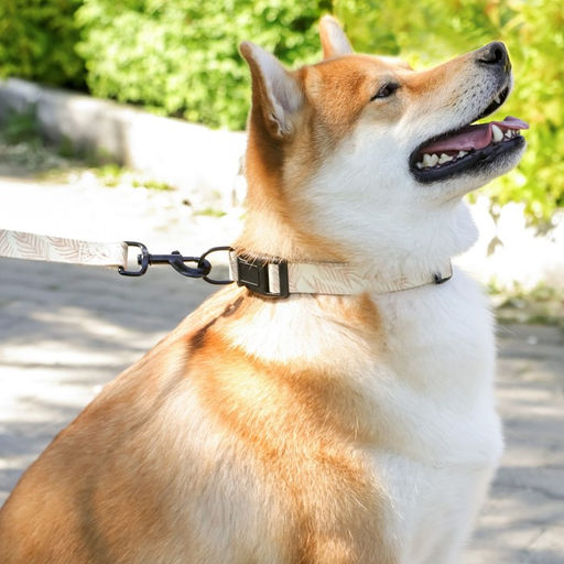 Поводок Paradise life, застёжка - фастекс, 2.5 см, 3 м - Пушистое счастье фото 2