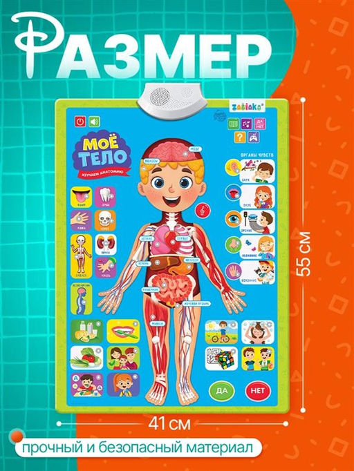 Обучающий плакат «Изучаем анатомию: Моё тело»