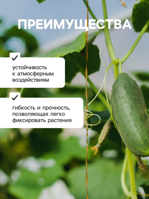 Цена за 2 шт. Проволока для подвязки растений, 50 м, металл, биоразлогаемая оболочка, Greengo  фото 3