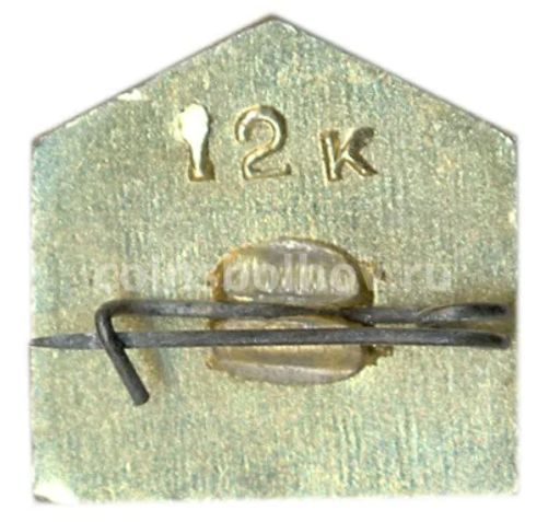 Значок Кишинев