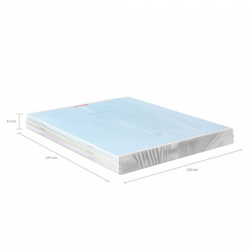 Цена за 3 шт. Тетрадь общая ученическая ErichKrause Классика, А4, 96 листов, клетка_MIX-PACK фото 8