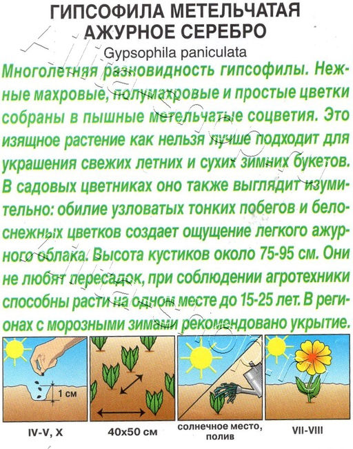Гипсофила Ажурное серебро 0,05г (Аэлита)