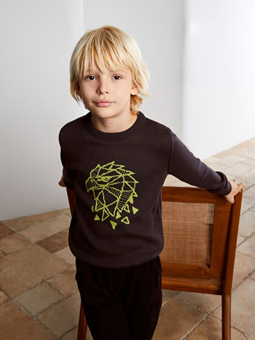 Bisiklet Yaka Bask?l? Uzun Kollu Erkek ?ocuk Triko Kazak - Waikiki фото 2